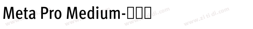 Meta Pro Medium字体转换